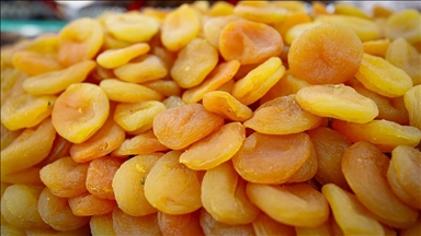 ترکیه در 9 ماه امسال بیش از 217 میلیون دلار زردآلوی خشک صادر کرد