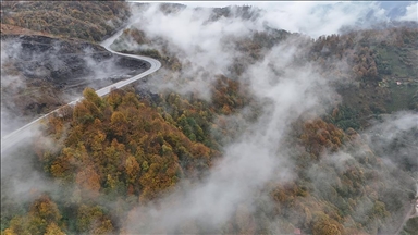Ordu'da etkili olan sis sonbahar renkleriyle güzel görüntü oluşturdu