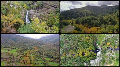 Yunt Dağları'ndaki ağaçlar hazan rengine büründü