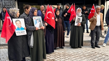 Malbatên Wanî çalakiya xwe ya li ber Serokatiya DEM Partiyê ya Parêzgehê domand