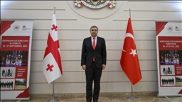 Посол Грузии в Турции: Тбилиси и Анкара способствует укреплению стабильности и мира в регионе