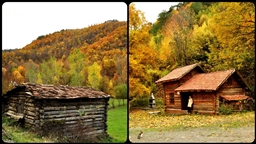 Kastamonu ormanları sonbahar renklerine büründü