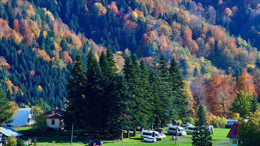 الخريف يرسم لوحته في مرتفعات دوزجة التركية