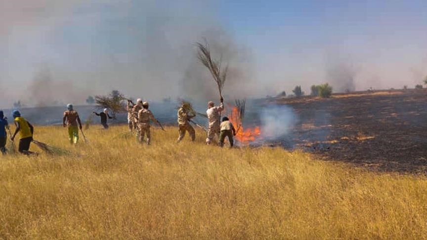 موريتانيا.. إخماد حريق أتى على 6 كلم من المراعي الطبيعية