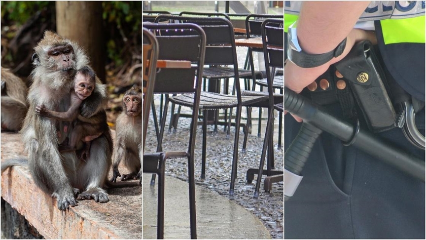 Dünyada ekim ayında birçok sıra dışı ve tuhaf olay basına yansıdı