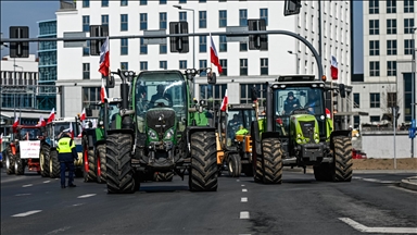 La UE insta a Polonia, Hungría y Eslovaquia a levantar sus prohibiciones a las importaciones agrícolas ucranianas