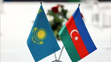 МВД: с начала года из Казахстана за нарушение миграционного законодательства выдворено 14 тыс. иностранцев 