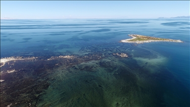 Encuesta: Científicos sufren “ecoansiedad” a medida que se desvanece la esperanza de alcanzar el objetivo de 1,5°C