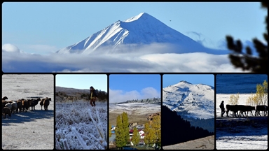 Kars'ta kar, soğuk hava ve kırağı etkili oldu