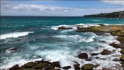 Birinci Dünya Savaşı'na katılan iki askerin cam şişede denize bıraktığı mektuplar Avustralya kıyısında bulundu