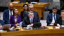 Komšić pozvao članice VSUN-a da podrže tranzicijski period za modernu, demokratsku BiH