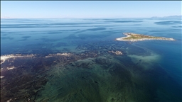 Encuesta: Científicos sufren “ecoansiedad” a medida que se desvanece la esperanza de alcanzar el objetivo de 1,5°C