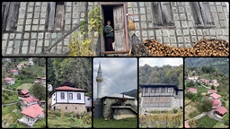 Kestane ağacından yapılan tescilli evler Arılı köyüne ziyaretçi çekiyor