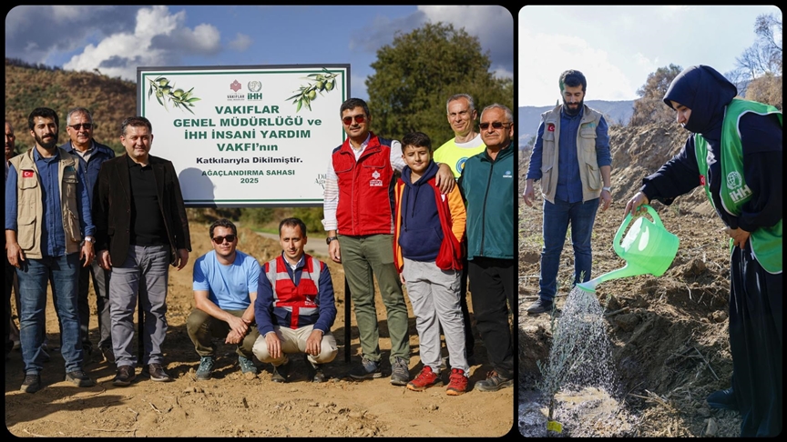 İHH, çiftçilere zeytin fidanı desteğini 25 bine çıkaracak