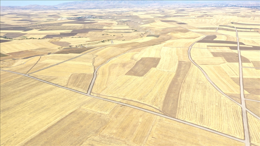 Berhemên çandiniyê yên ku li Agiriyê bi piştgiriya dewletê têne çandin zêde dibin