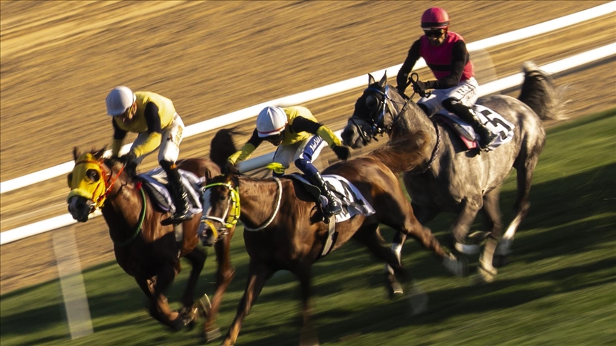 At yarışlarında Cumhuriyet ve Cumhurbaşkanlığı koşuları yapıldı