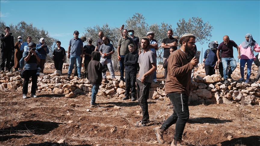 Current olive harvest season in occupied West Bank sees highest illegal settler attacks in 5 years: UN