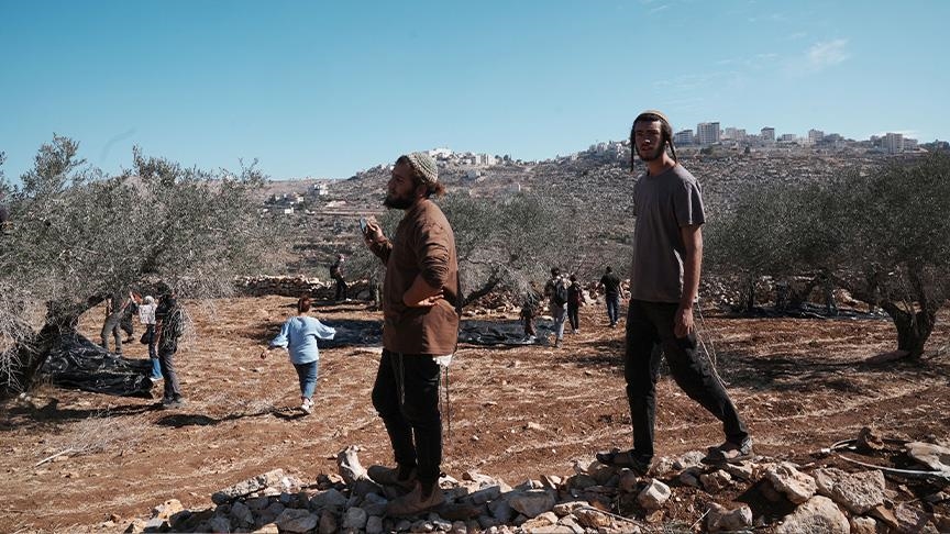 الضفة.. مستوطنون يهاجمون تجمعين فلسطينيين وقاطفي زيتون في 3 مناطق