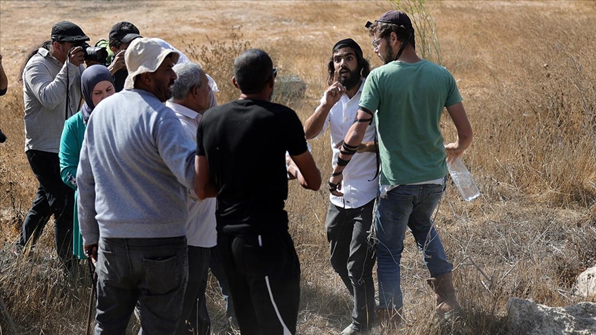 مستوطنون يهاجمون قاطفي زيتون فلسطينيين شمالي الضفة