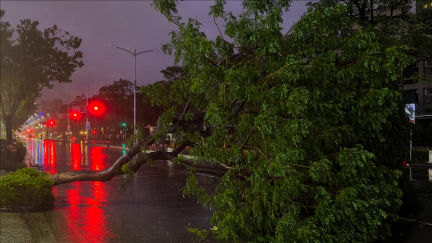 Philippines suspends school, work, sea travel as western region braces for Typhoon Tino