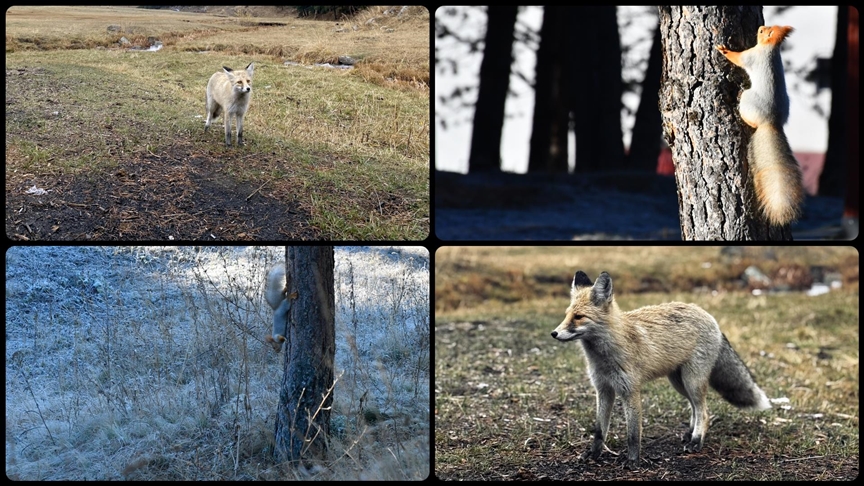 Kars'ta soğuk hava etkili oldu