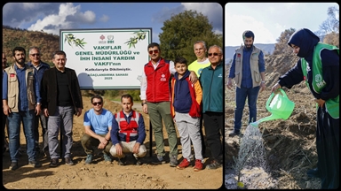 İHH, çiftçilere zeytin fidanı desteğini 25 bine çıkaracak