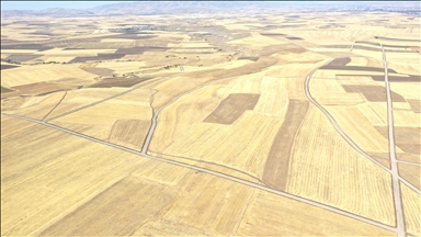 Berhemên çandiniyê yên ku li Agiriyê bi piştgiriya dewletê têne çandin zêde dibin