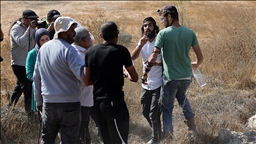 مستوطنون يهاجمون قاطفي زيتون فلسطينيين شمالي الضفة