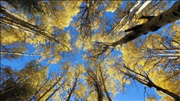 لوحات خريفية آسرة في قارص التركية 