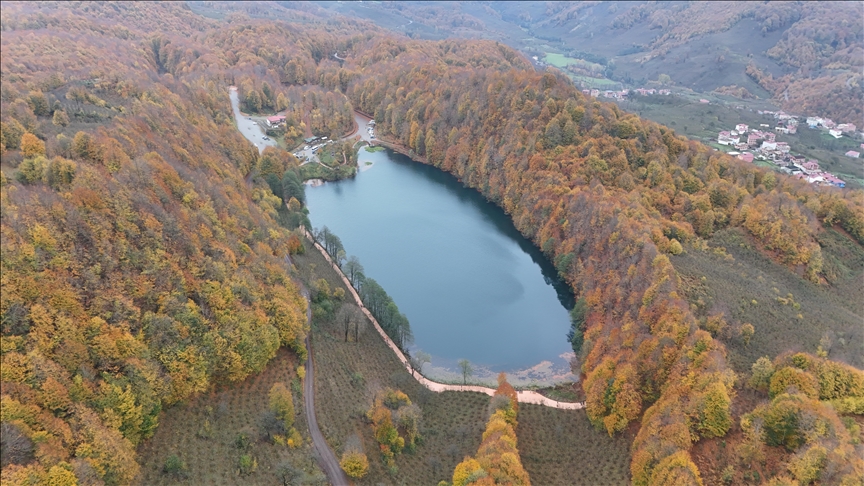 Ordu'daki Ulugöl Tabiat Parkı sonbahar renklerine büründü