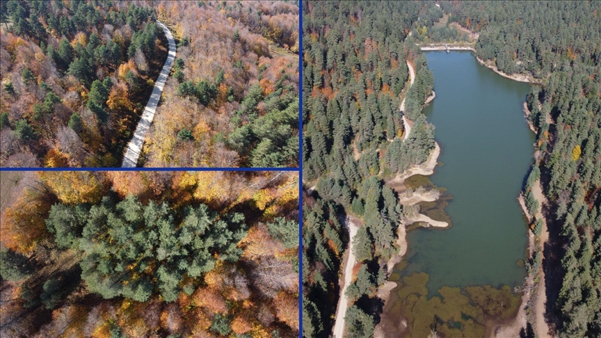 Bilecik ormanlarında sonbahar renkleri hakim oldu