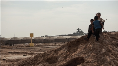 Israeli army committed 194 violations of Gaza ceasefire since Oct. 10: Media office