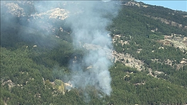 Muğla'da ormanlık alanda çıkan yangın kontrol altına alındı