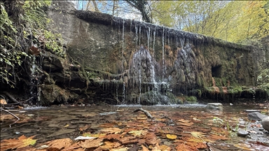 Tekirdağ'da sonbahar renklerine bürünen ormanlar doğa tutkunlarını bekliyor