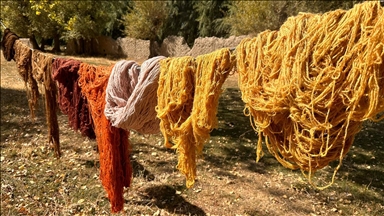 Jinên Wanî bi pincarên ku ji çolê berhev kirine va tayên xalîçe û merşan boyax dikin