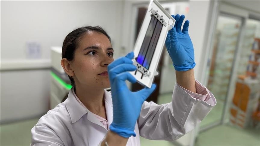 Турецкие ученые выявили 12 генов, определяющих реакцию на лучевую терапию при раке легких