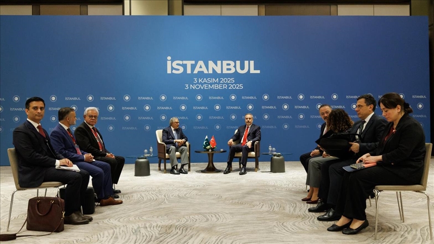 Глава МИД Турции Хакан Фидан встретился в Стамбуле с пакистанским коллегой