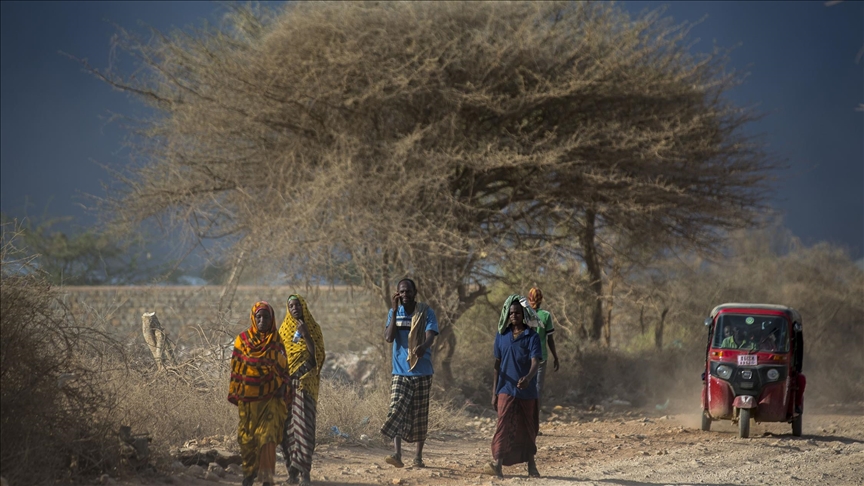 Global meeting on countering hunger, poverty kicks off in Qatar