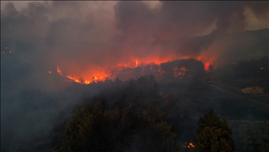 Minibüste başlayıp ormanlık alana sıçrayan yangınla ilgili 4 sanığa hapis istemi