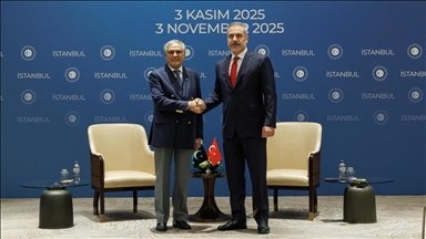 Le ministre turc des Affaires étrangères rencontre son homologue pakistanais à Istanbul