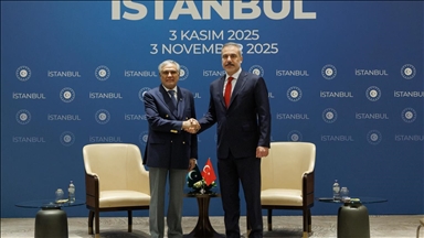 دیدار وزرای خارجه ترکیه و پاکستان در استانبول