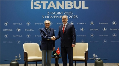 إسطنبول.. وزير الخارجية التركي يلتقي نظيره الباكستاني