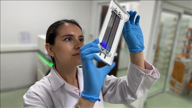 Турецкие ученые выявили 12 генов, определяющих реакцию на лучевую терапию при раке легких