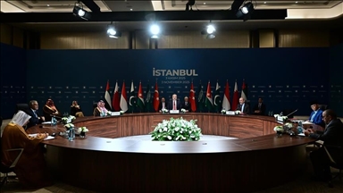 Menlu negara Muslim bahas gencatan senjata Gaza di Istanbul