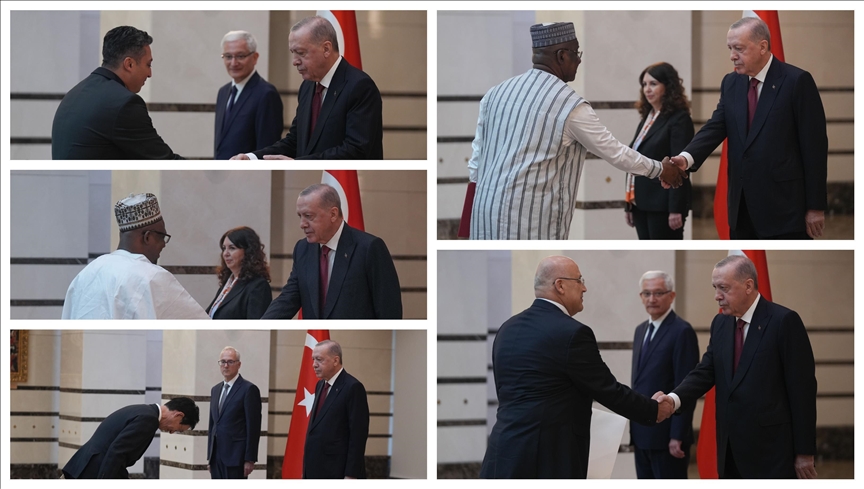 New ambassadors present their credentials to Turkish President Erdogan