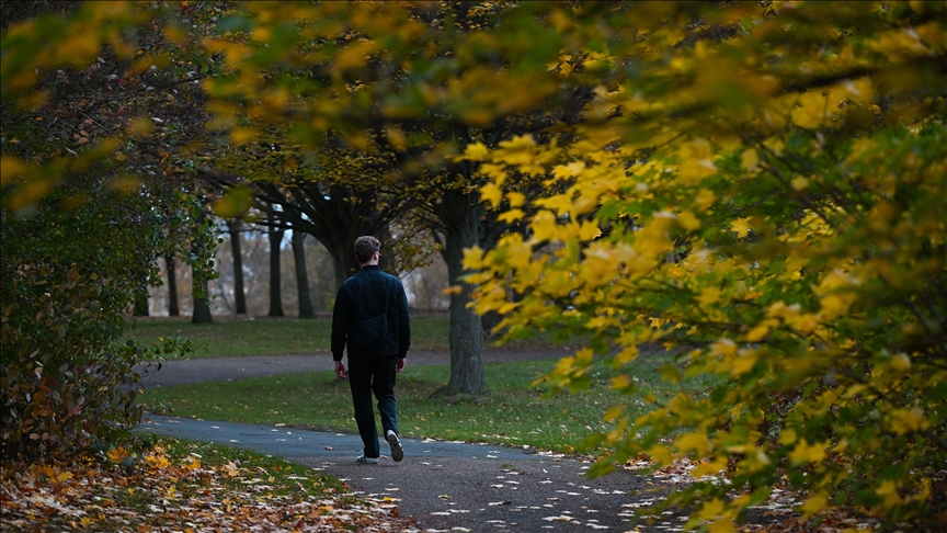 Jesen u punom sjaju: Regent’s Park u Londonu u nijansama zlatne i smeđe boje