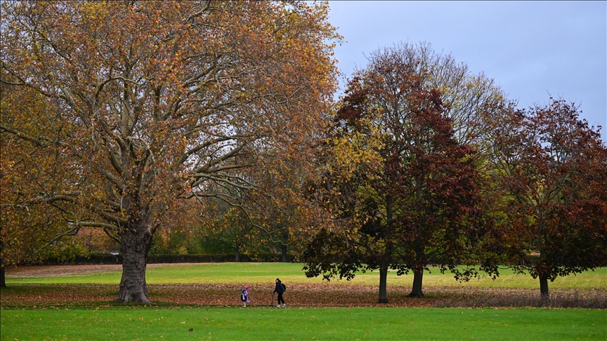 Есента го обои Лондон во нијанси на жолта и кафеава боја