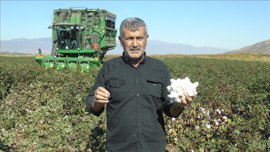 Li Gazîentabê komkirina pembû dest pê kir