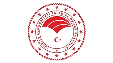 Tarım ve Orman Bakanlığı şap hastalığının kontrol altına alındığını bildirdi