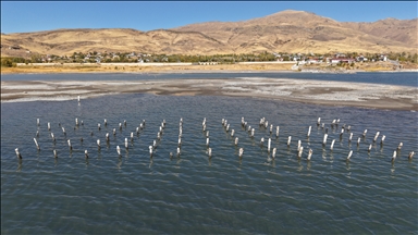 Bi vekişîna ava Gola Wanê ra piyên îskeleya sed salî derketin holê